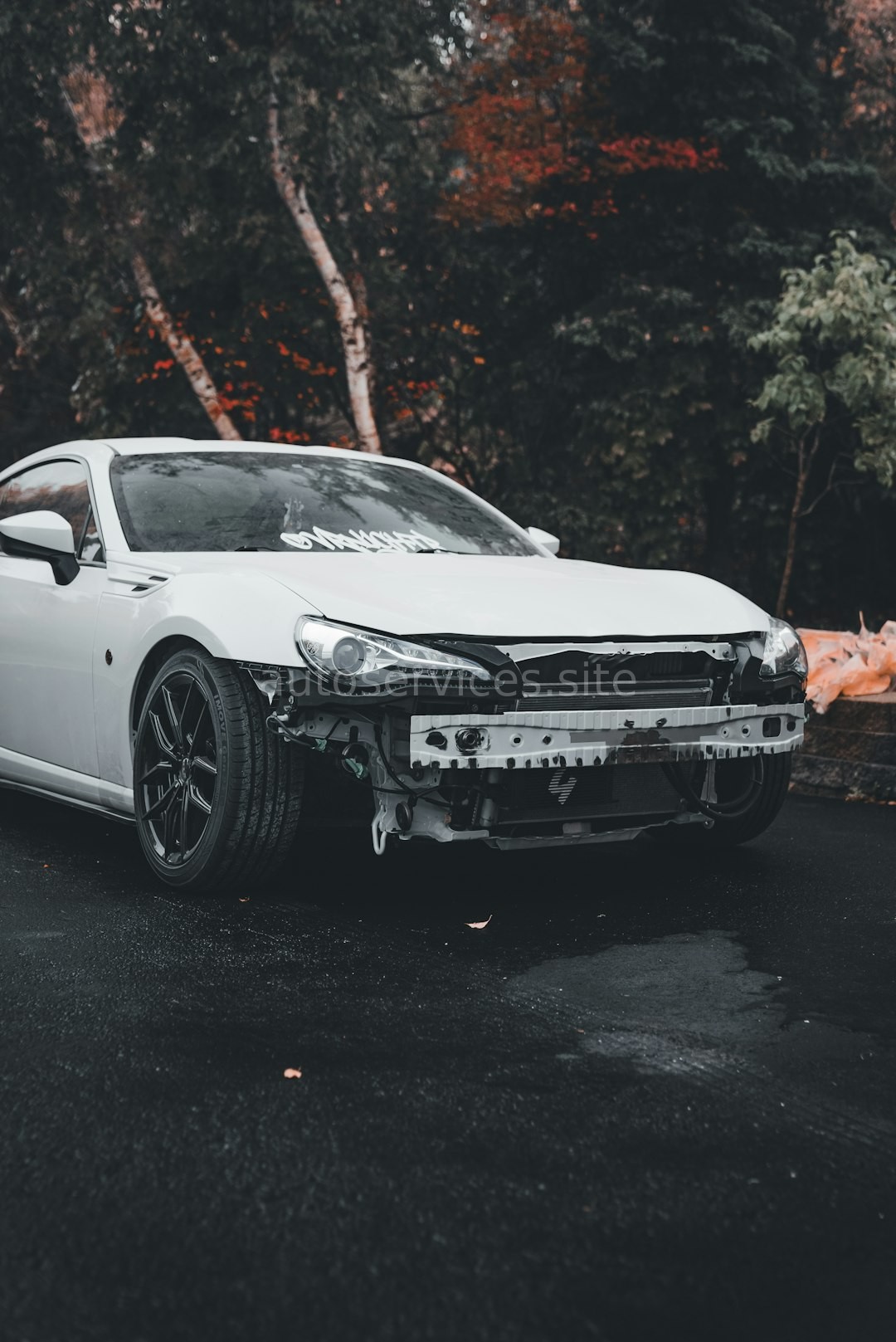 Performance Car